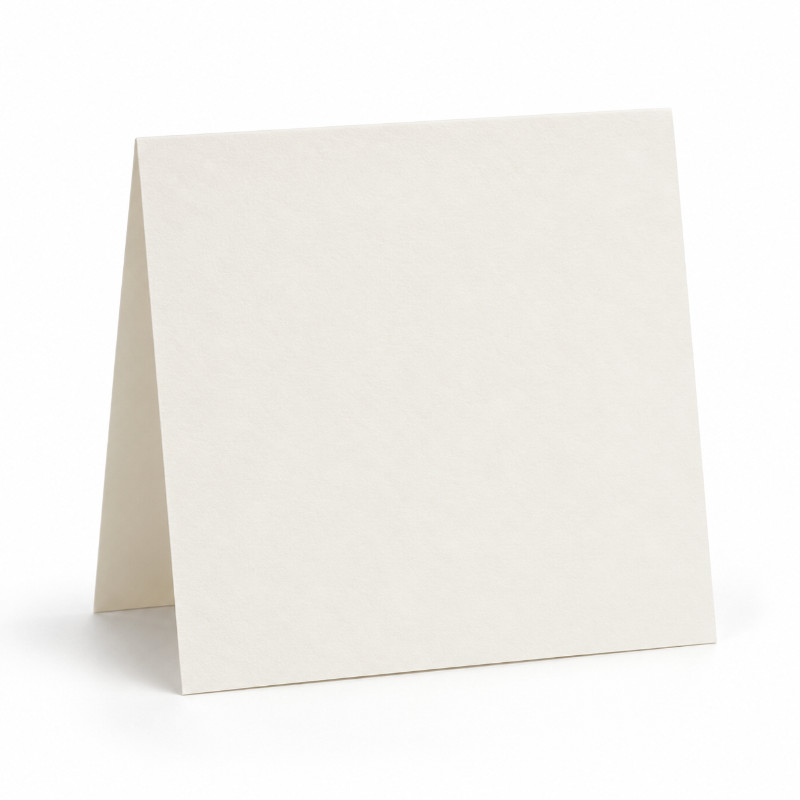 Papyrus Envelpack dubbele kaarten C6 - set van 8