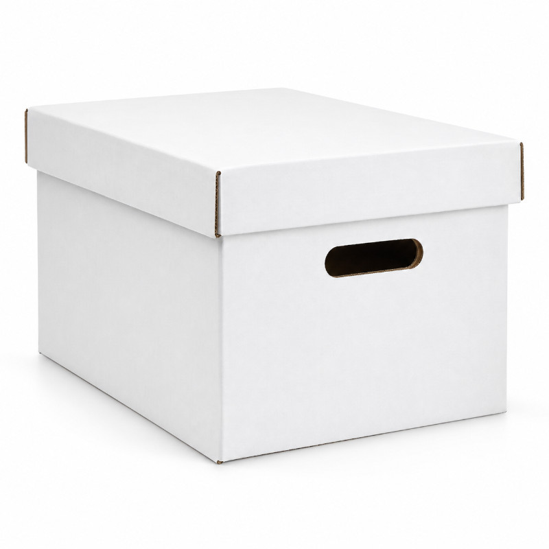 Witte archiefdozen - set van 25